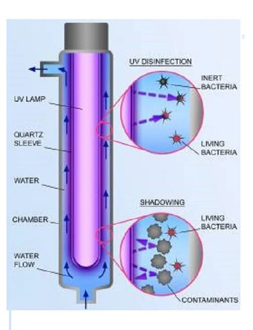 UV Lamp